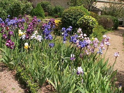 Parc de la Société d'horticulture des Deux-Sèvres © Propriétaire.