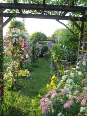 Au coeur du jardin. Cliché : propriétaire.
