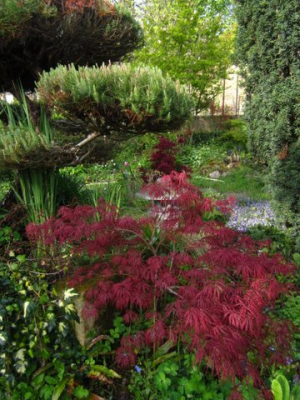 Au coeur du jardin. Cliché : propriétaire.
