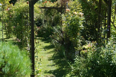 Au coeur du jardin. Cliché : propriétaire.
