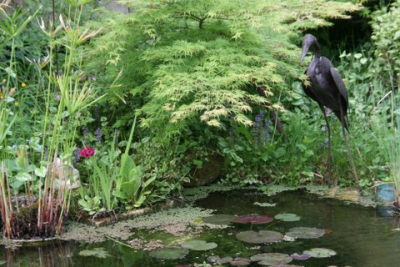 Au coeur du jardin. Cliché : propriétaire.