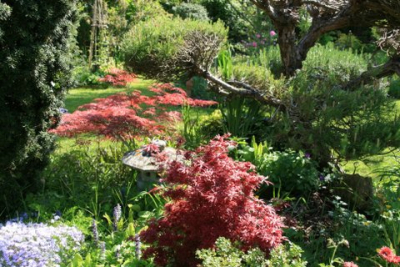 Au coeur du jardin. Cliché : propriétaire.