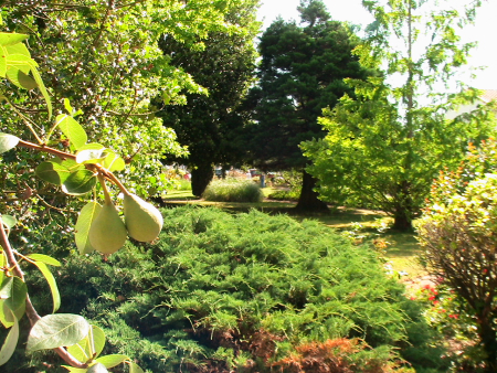 Parc de la Société horticulture de Niort © SH79