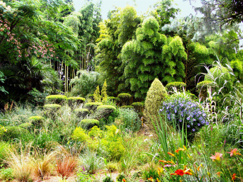 Jardin Les Bambous de Planbuisson - Massif - © Association Planbuisson