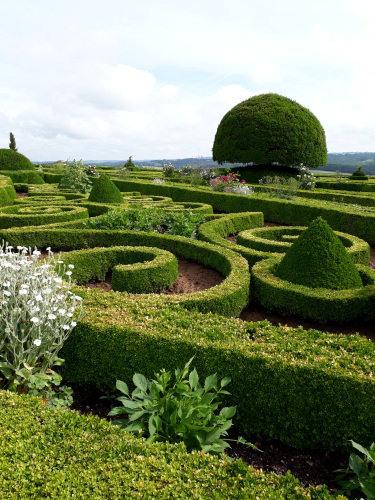 Broderies de buis © Stéphanie Bérusseau, 2017.