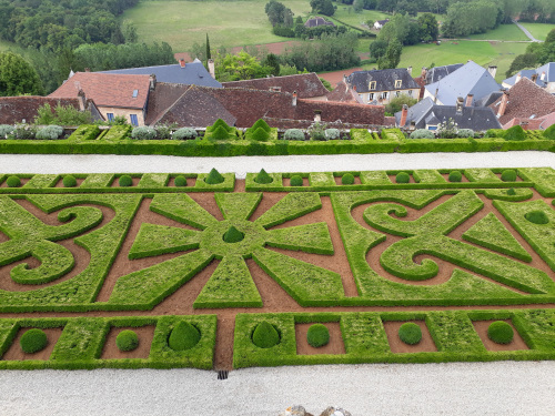 Broderies de buis © Stéphanie Bérusseau, 2017.