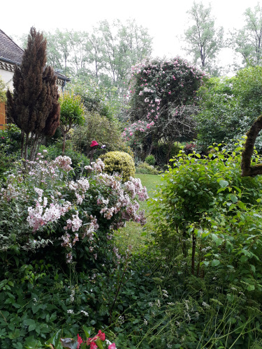 Le jardin d'Ingrid © Stéphanie Bérusseau, 2017.