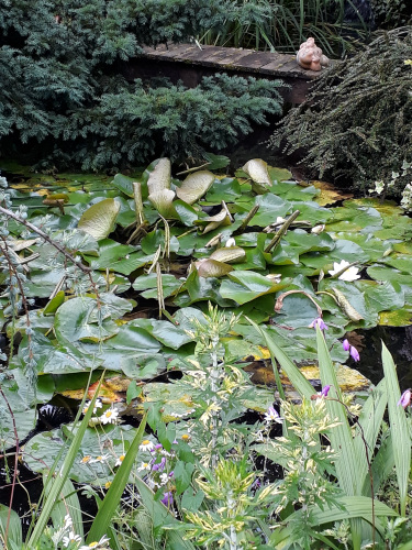 Le jardin d'Ingrid © Stéphanie Bérusseau, 2017.