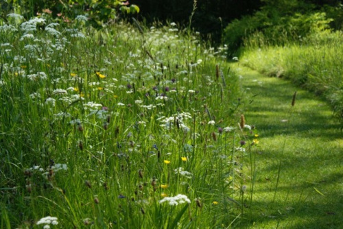Jardin Public © Ville de Bordeaux