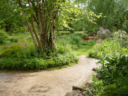 Jardin botanique Alaije © Association Alaije