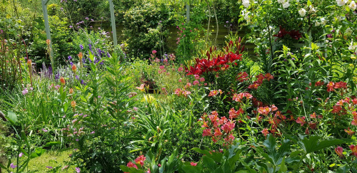 Mélange fleuri © Jardin l'Ouchette Des Groies