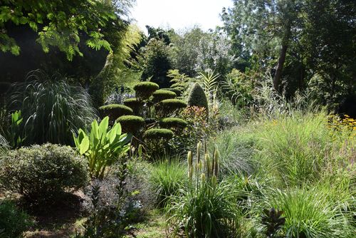 Jardin Les Bambous de Planbuisson - Massif © CAUE 24 - Valérie Dupis