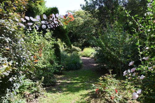 Jardin Les Bambous de Planbuisson © CAUE 24 - Valérie Dupis