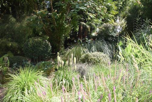 Jardin Les Bambous de Planbuisson © CAUE 24 - Valérie Dupis