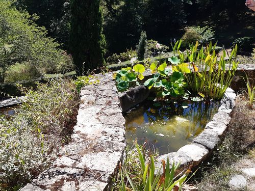 Jardins de Sardy © DRAC SB 2020.