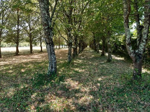 Jardins de Sardy © DRAC SB 2020.