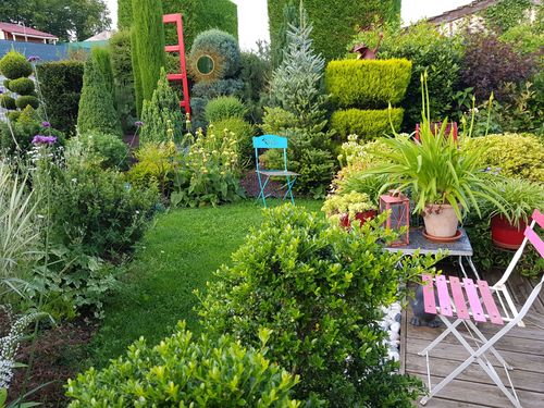 Effet topiaire © Jardin l'Ouchette Des Groies 