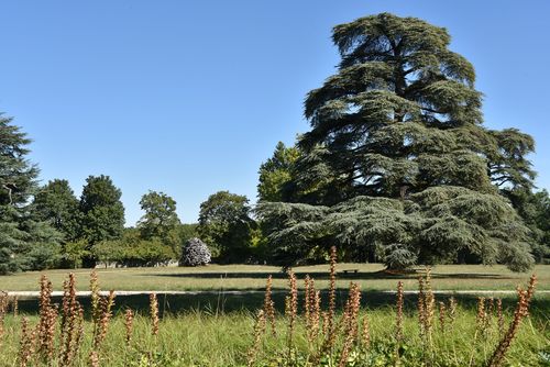 Parc et jardin de l'Abrégement - « Coeur de chêne » d'Andy Goldsworthy © Anne Chopin