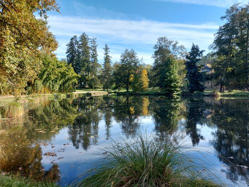 Parc du château royal de Cazeneuve - Étang © Château de Cazeneuve