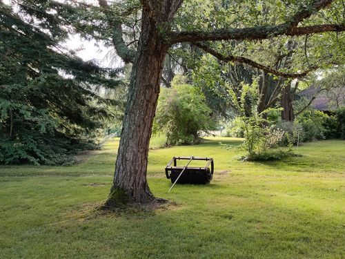 Parc de Montagrier - Lumières du matin © DRAC Stéphanie Bérusseau, RDVJ 2022