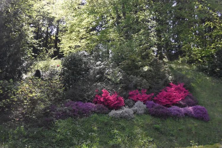 Parc de la préfecture de Corrèze © Service communication de la Préfecture de Corrèze