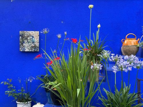 Le Jardin Bleu © Véronique de Vassal