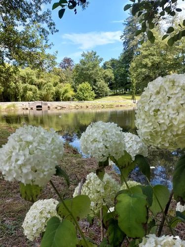 Parc du château royal de Cazeneuve © Château Royal de Cazeneuve